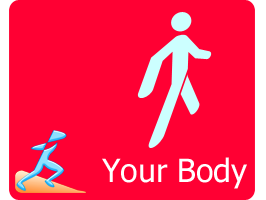 Your Body